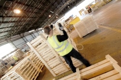 Our on Site Woodmill